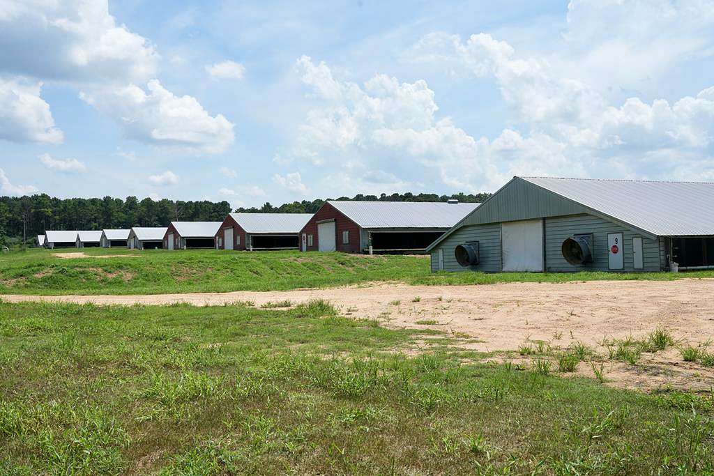 67.4 Acres of Agricultural Land with Home for Sale in Collins, Mississippi