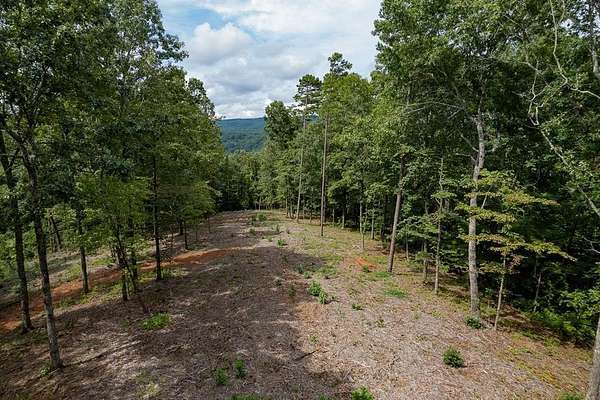3.73 Acres of Residential Land for Sale in Talking Rock, Georgia