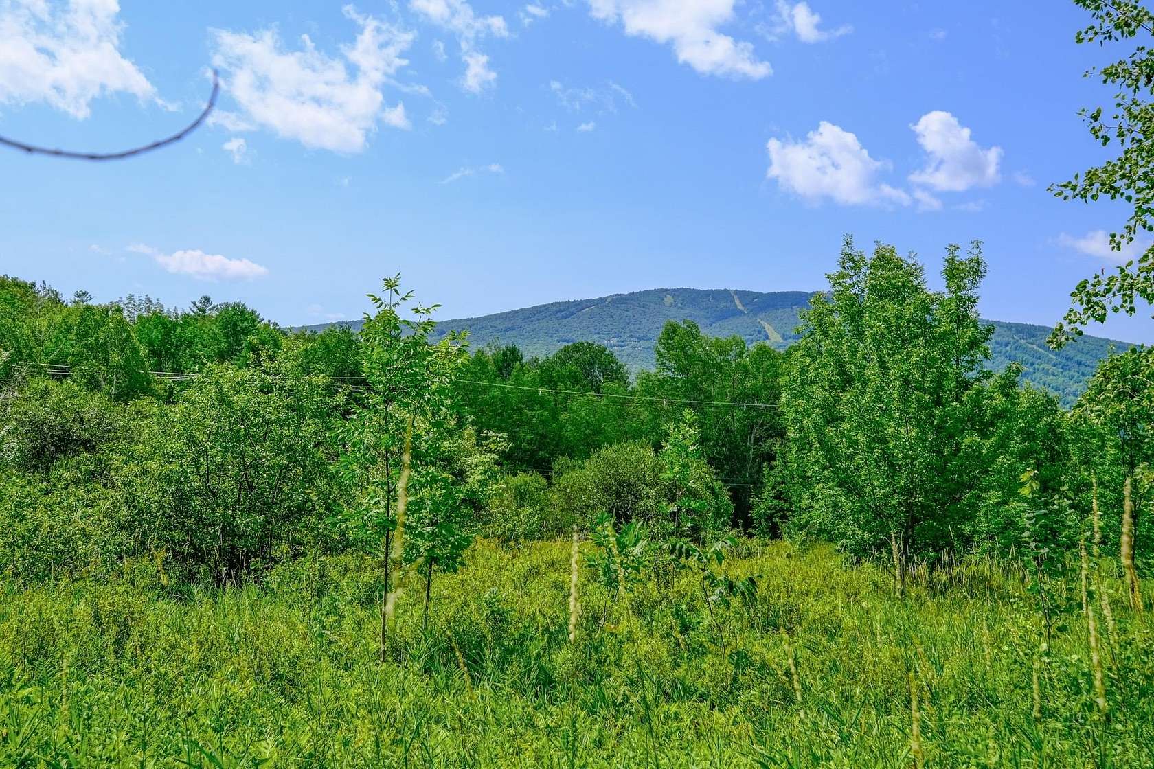 1 Acre of Residential Land for Sale in Ludlow, Vermont