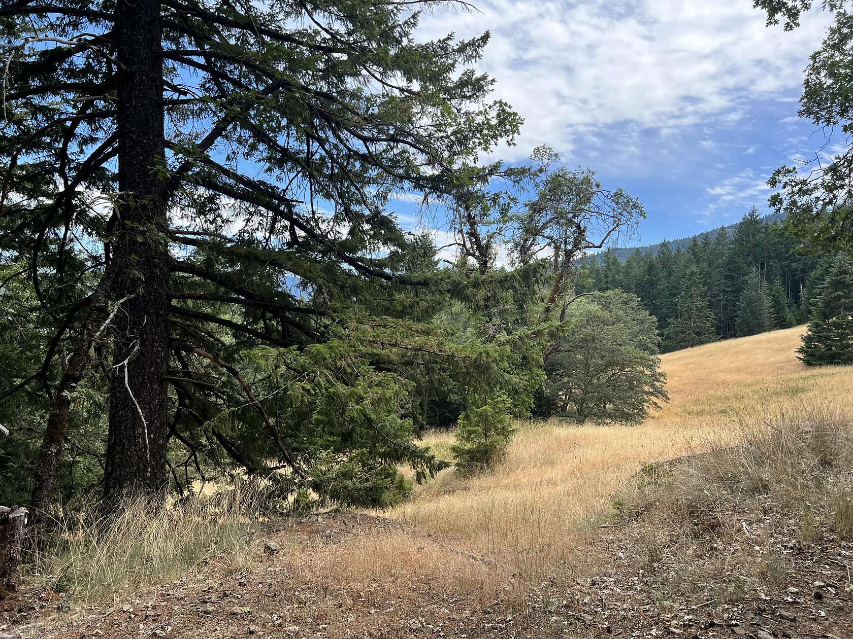 45 Acres of Recreational Land for Sale in Kneeland, California