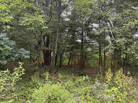 0.46 Acres of Residential Land for Sale in Lake Delton, Wisconsin