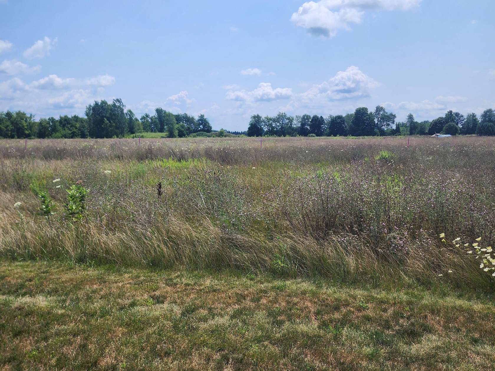15 Acres of Land for Sale in Ionia, Michigan