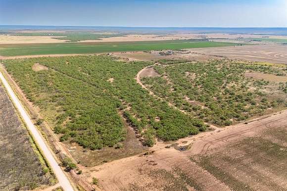 153.31 Acres of Recreational Land & Farm for Sale in Merkel, Texas