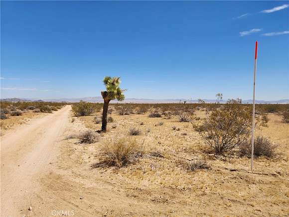 40 Acres of Agricultural Land for Sale in Joshua Tree, California