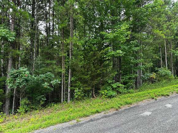 0.5 Acres of Residential Land for Sale in Shirley, Arkansas