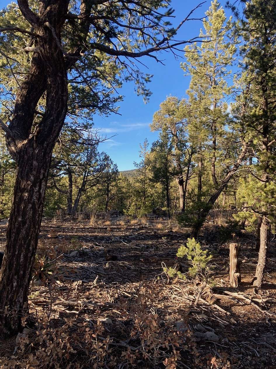 1.28 Acres of Residential Land for Sale in East Pecos, New Mexico