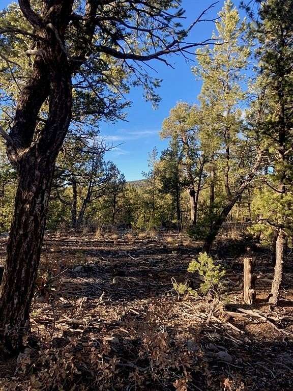 1.28 Acres of Residential Land for Sale in Pecos, New Mexico