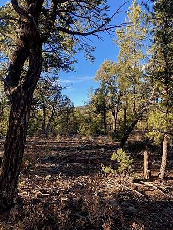 1.28 Acres of Residential Land for Sale in Pecos, New Mexico