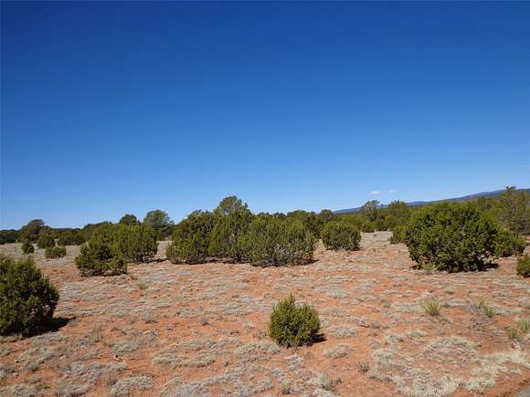 34.06 Acres of Land for Sale in Bernal, New Mexico