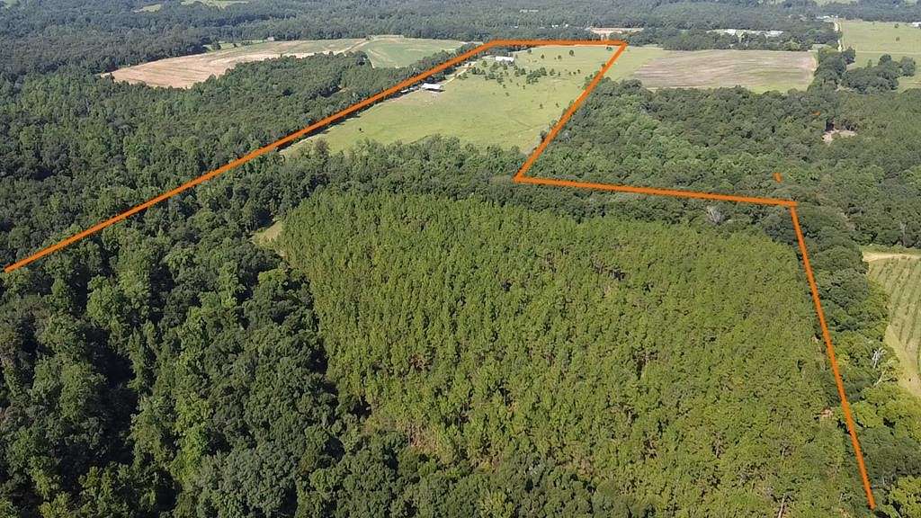 69 Acres of Land with Home for Sale in Haleburg, Alabama