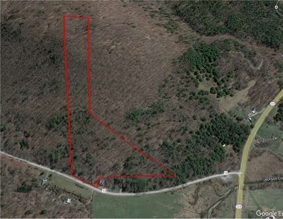 15 Acres of Recreational Land for Sale in Cayuta, New York