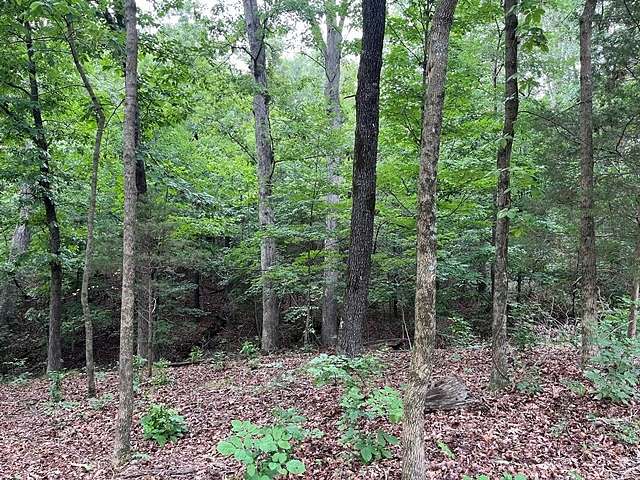 1.61 Acres of Residential Land for Sale in Dexter, Missouri