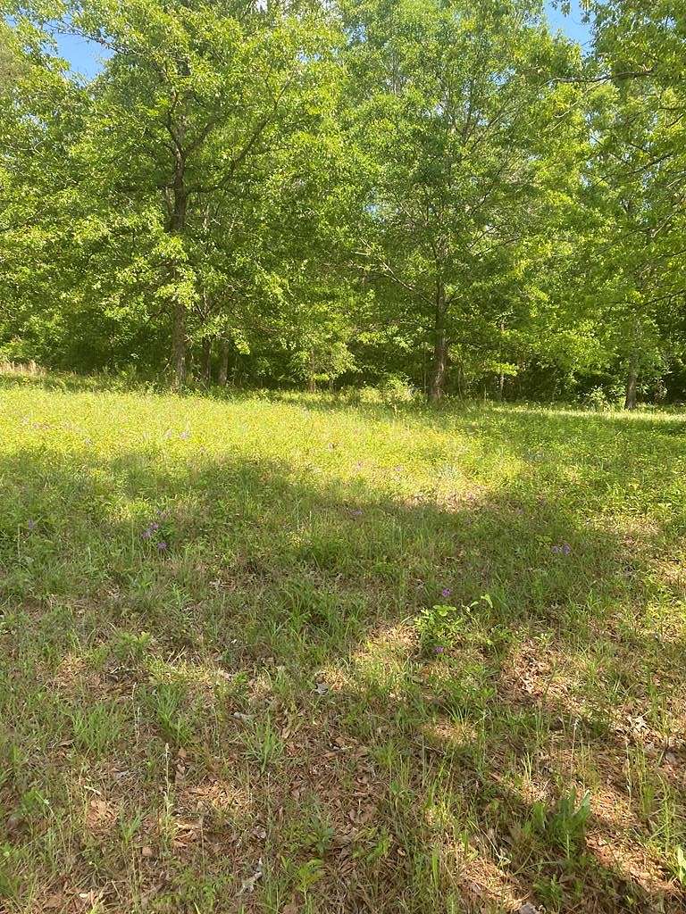 1.4 Acres of Residential Land for Sale in Hawkinsville, Georgia