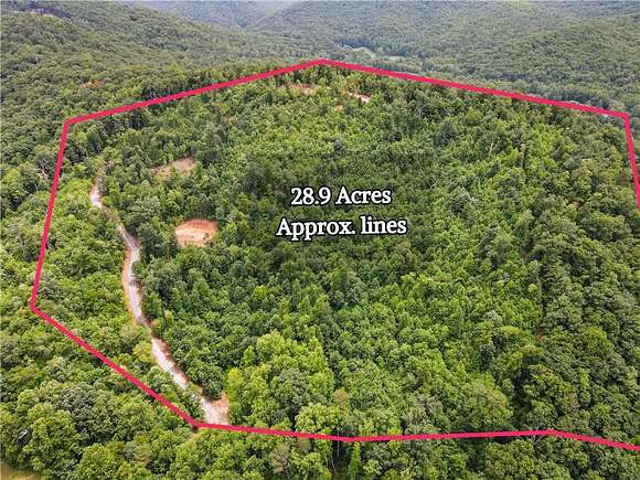 28.9 Acres of Land for Sale in Hiawassee, Georgia