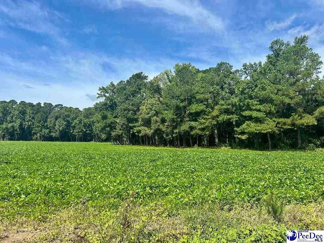 4.63 Acres of Residential Land for Sale in Lake View, South Carolina