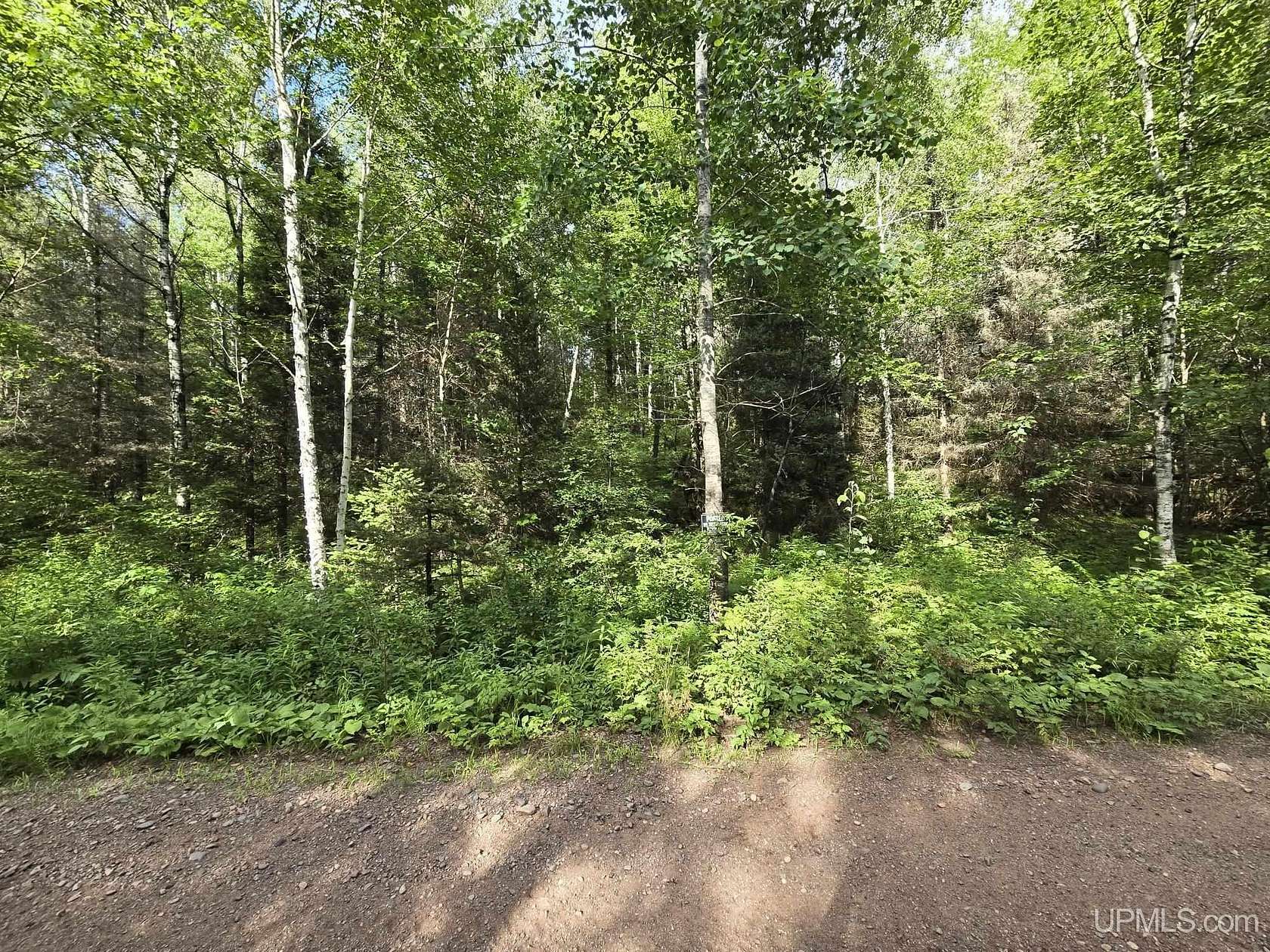 8 Acres of Recreational Land for Sale in Iron River, Michigan