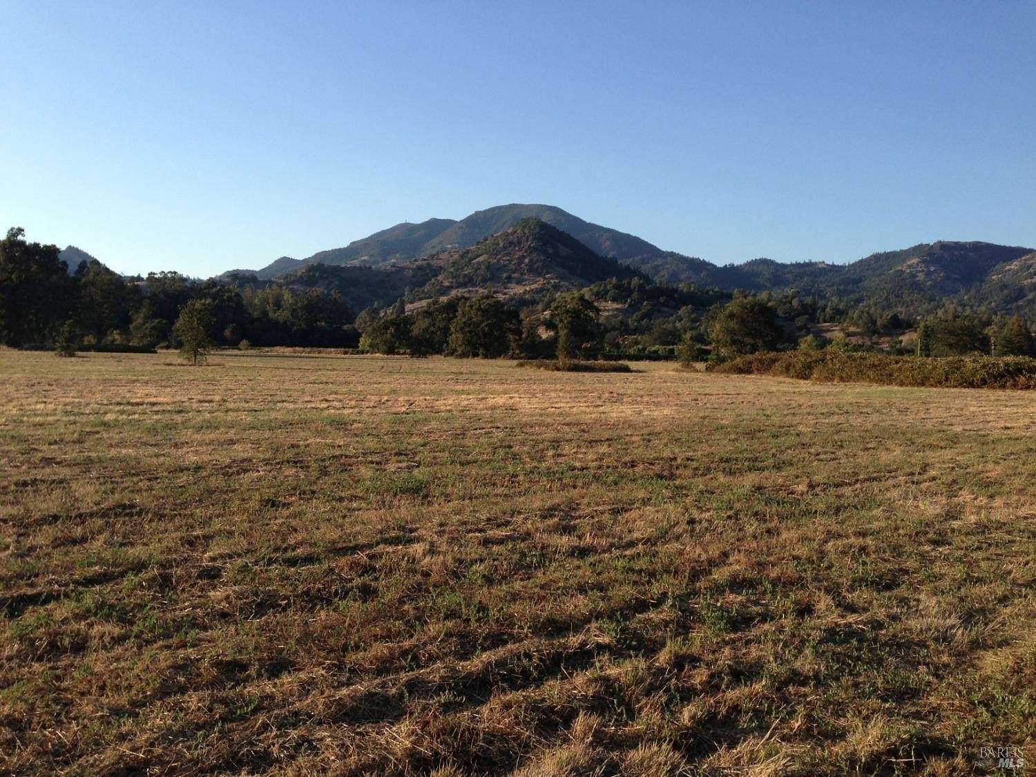 25 Acres of Land for Sale in Calistoga, California