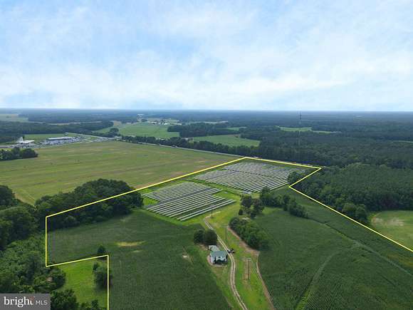 31.27 Acres of Land for Sale in Pittsville, Maryland