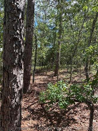 2.19 Acres of Residential Land for Sale in West End, North Carolina