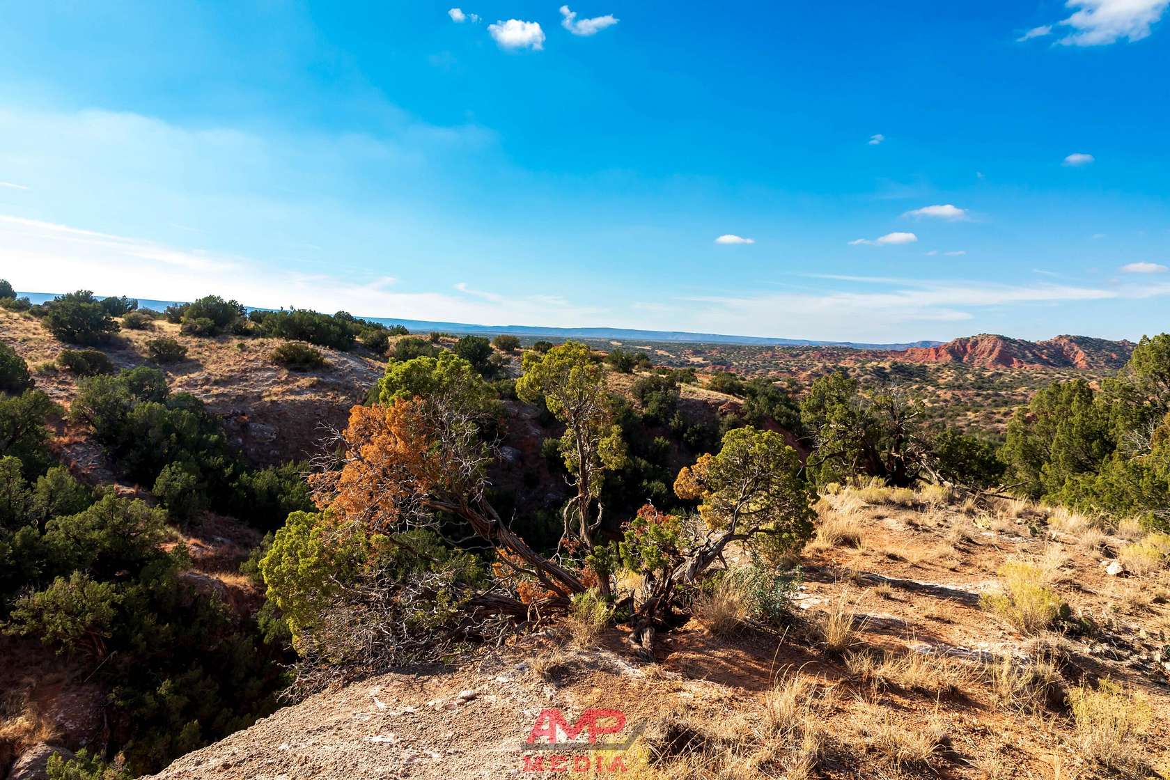 2,000 Acres of Recreational Land for Sale in Claude, Texas