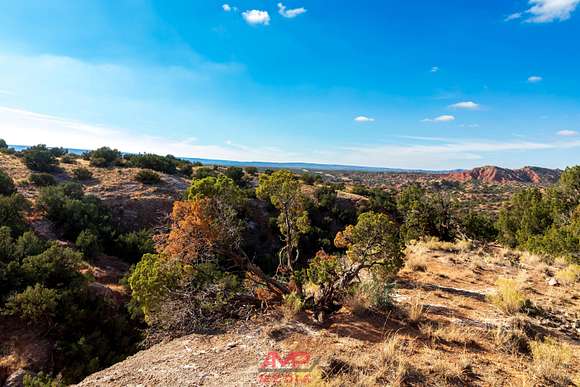 2,000 Acres of Recreational Land for Sale in Claude, Texas