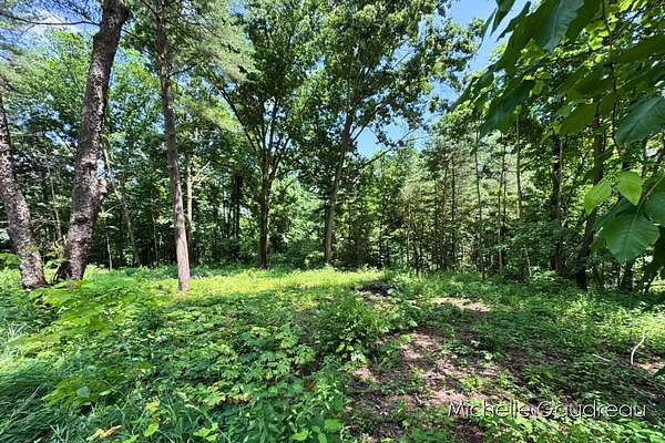 1.2 Acres of Residential Land for Sale in Hastings, Michigan