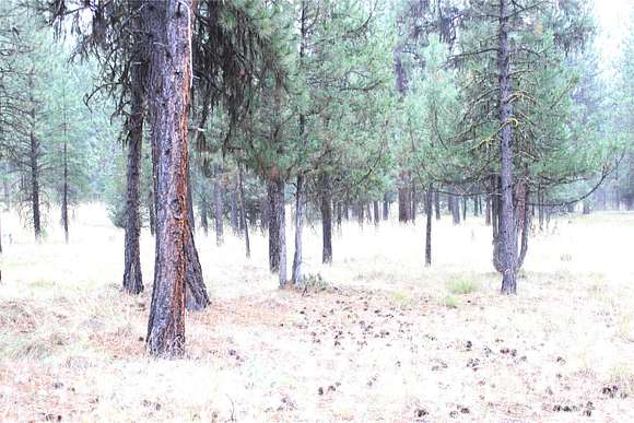 1 Acre of Residential Land for Sale in Seeley Lake, Montana