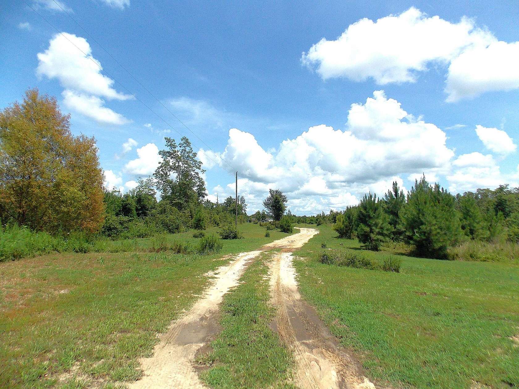 88.92 Acres of Land with Home for Sale in Bonifay, Florida