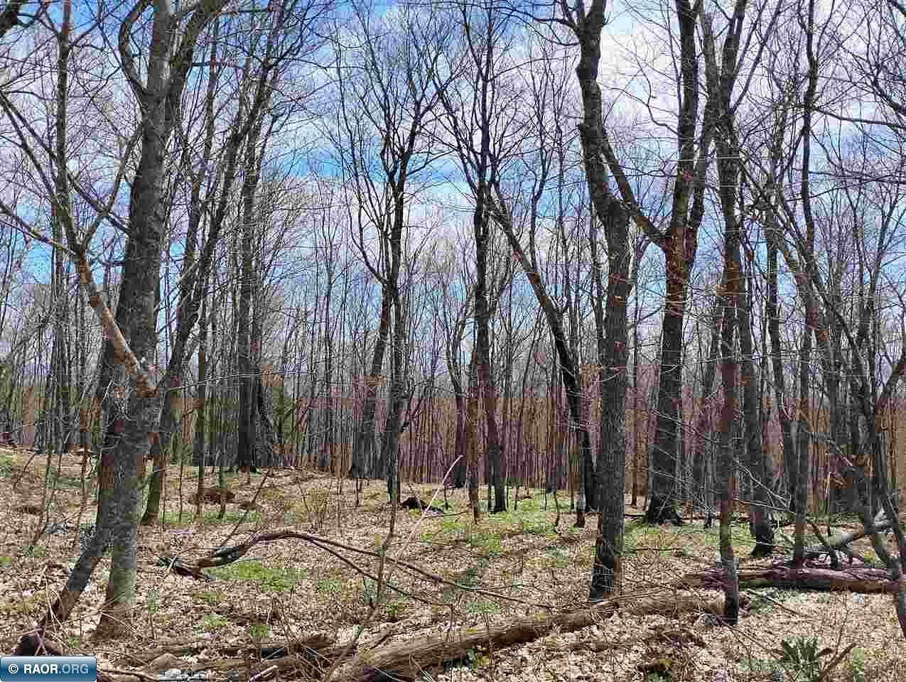 30.8 Acres of Land for Sale in Lutsen, Minnesota