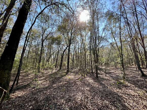 81 Acres of Recreational Land for Sale in Eight Mile, Alabama