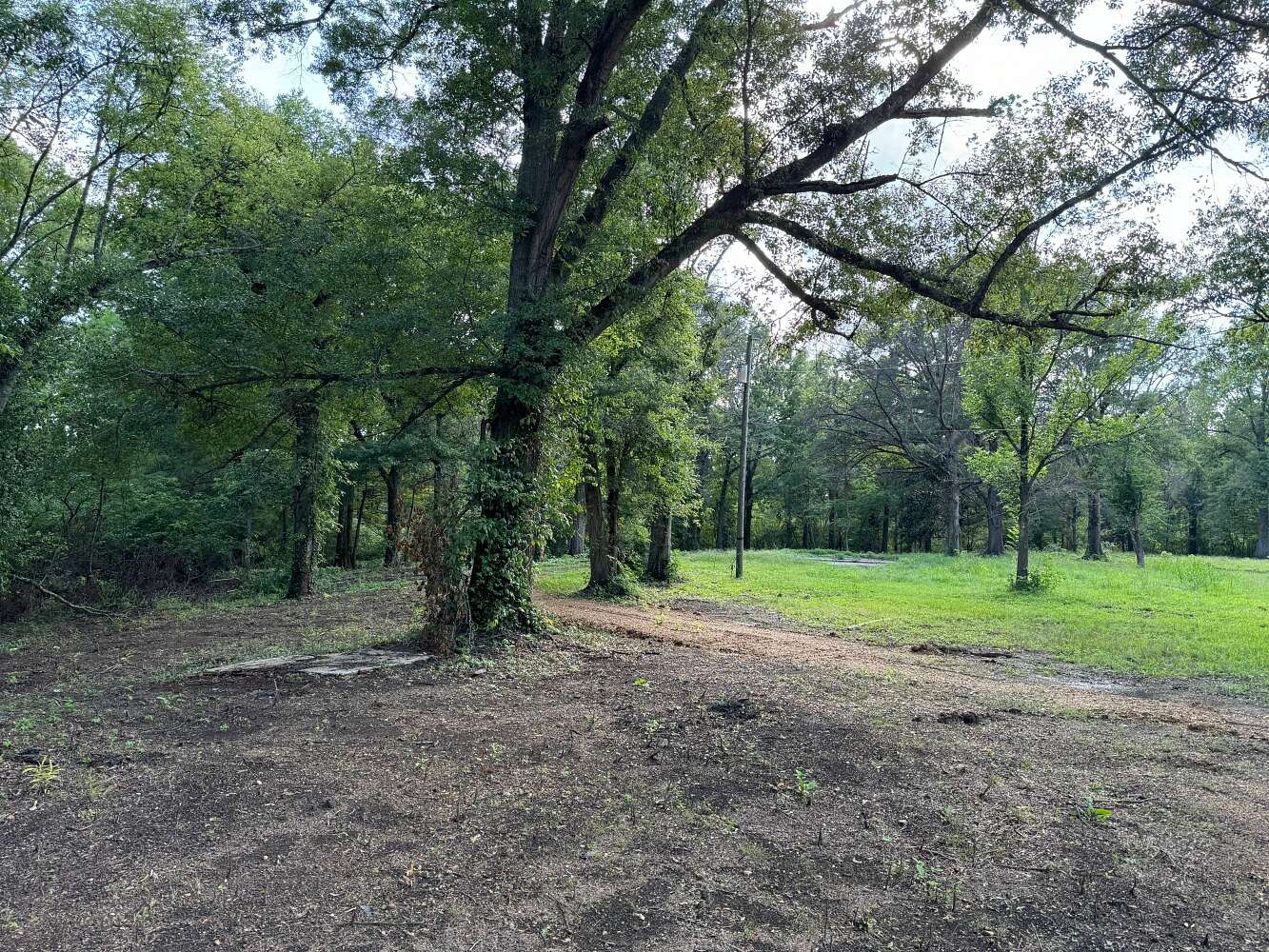 4 Acres of Land for Sale in Sledge, Mississippi