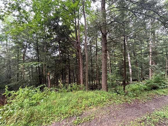 5 Acres of Land for Sale in Bath, New York