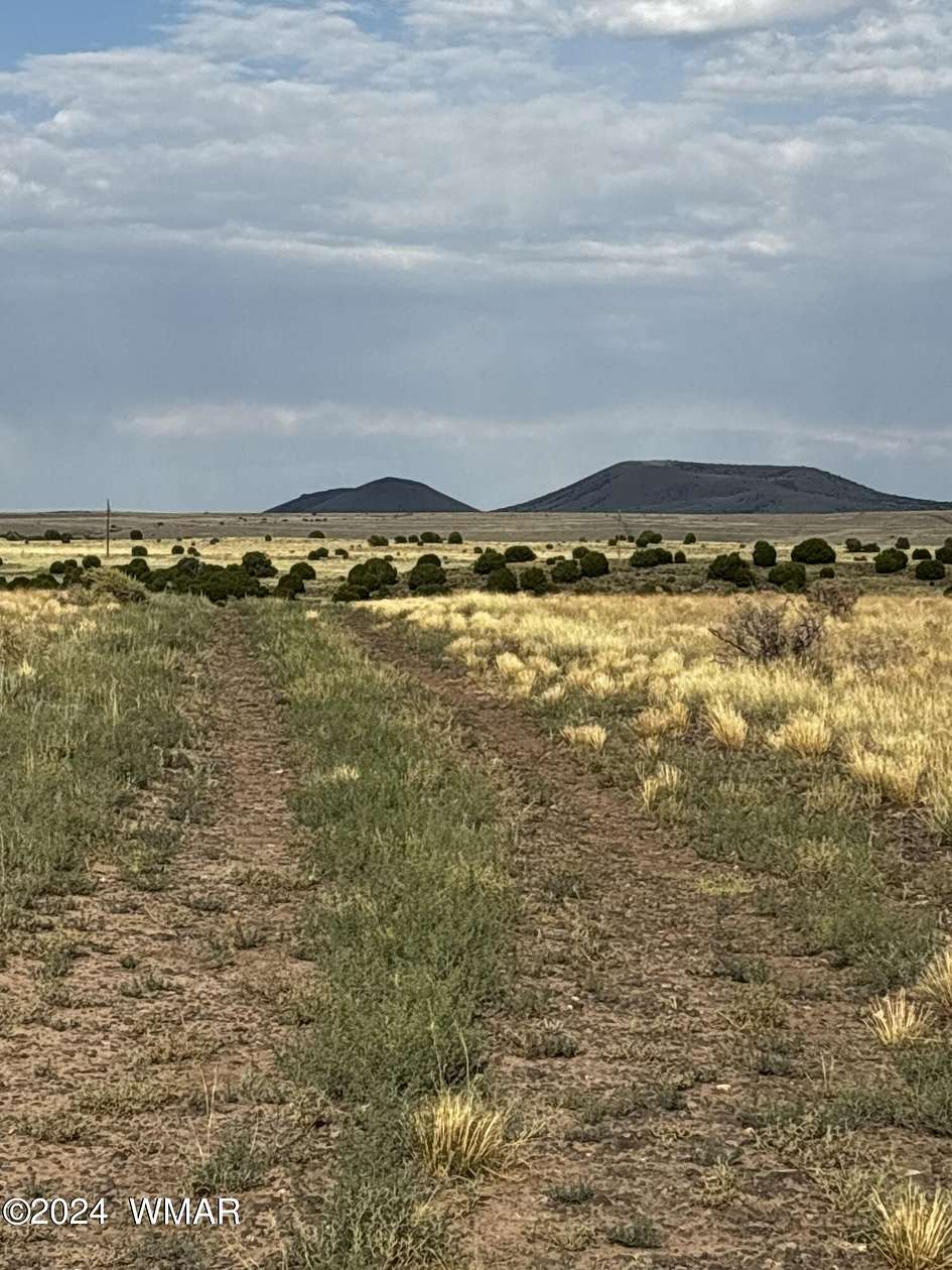 10 Acres of Recreational Land for Sale in Concho, Arizona