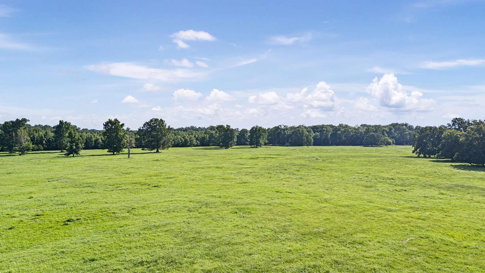 115 Acres of Land for Sale in Atkins, Arkansas