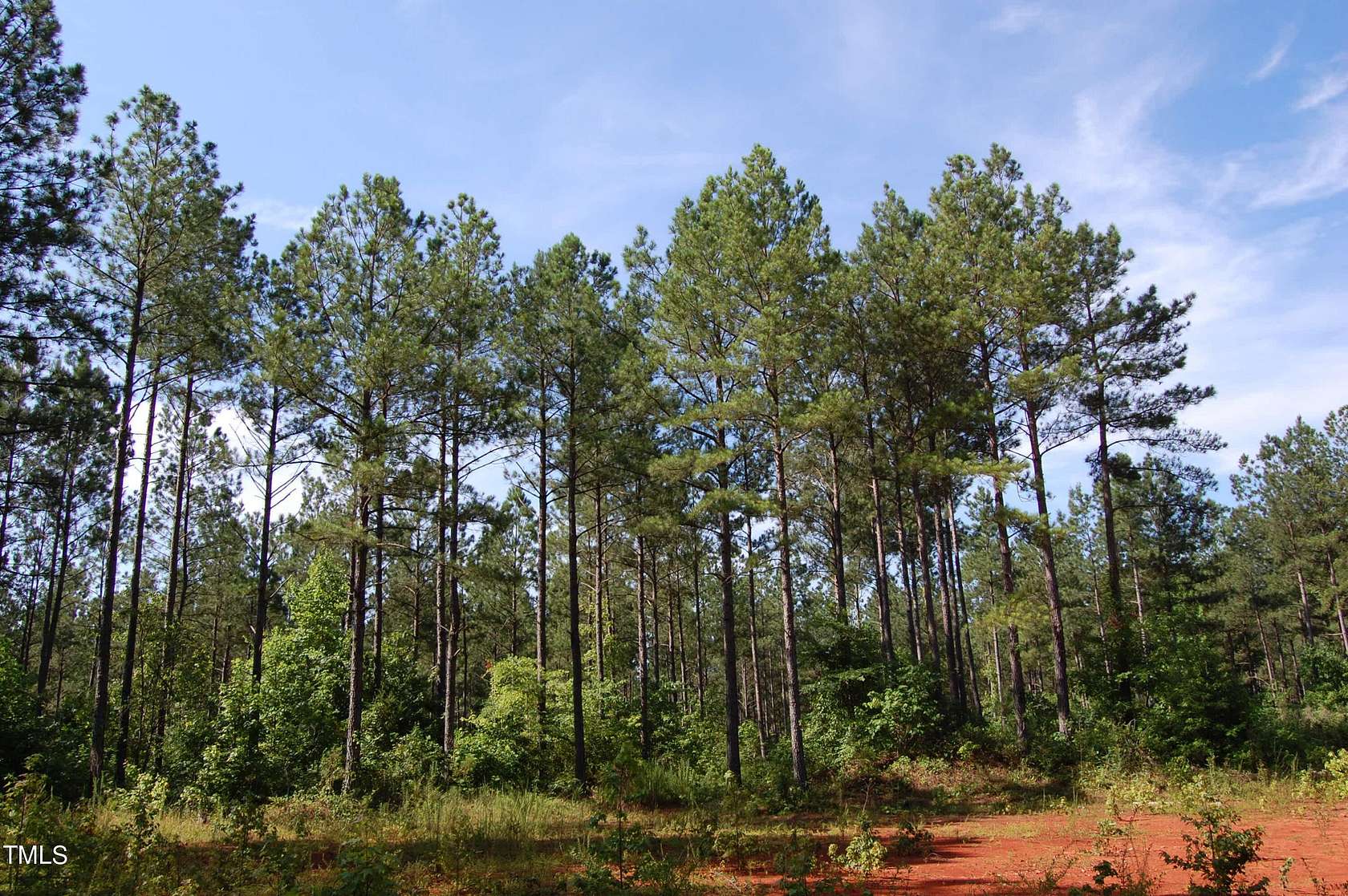 290 Acres of Recreational Land for Sale in Warrenton, North Carolina