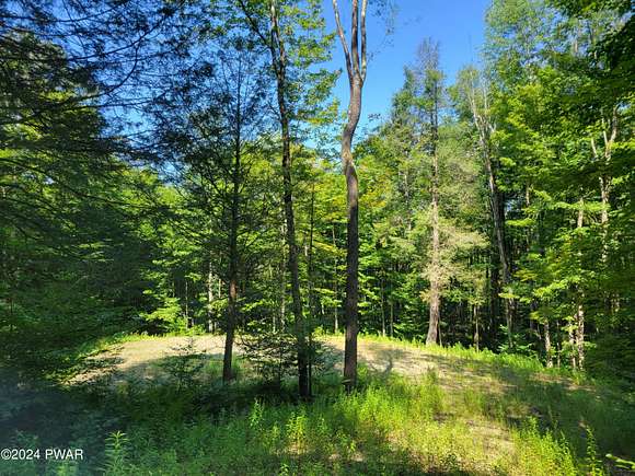 3.01 Acres of Residential Land for Sale in Pleasant Mount, Pennsylvania