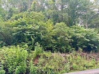 2.6 Acres of Residential Land for Sale in Cosby, Tennessee