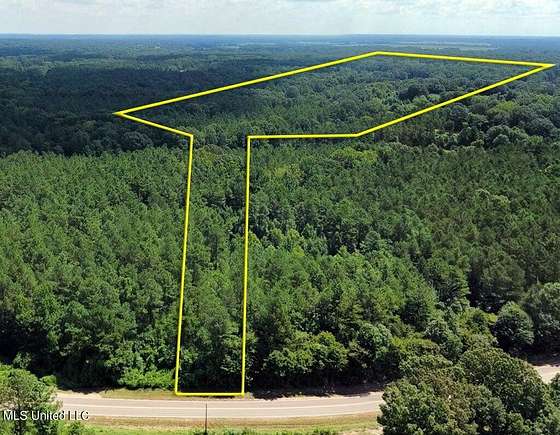 30.2 Acres of Land for Sale in Byhalia, Mississippi