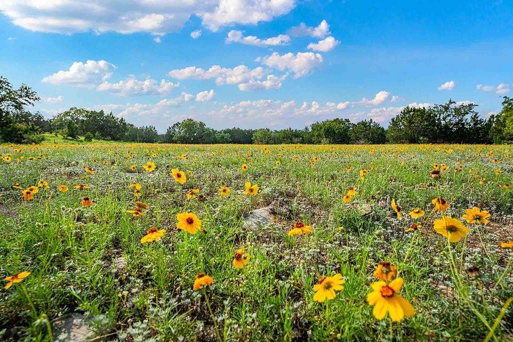 150.427 Acres of Land for Sale in Spring Branch, Texas