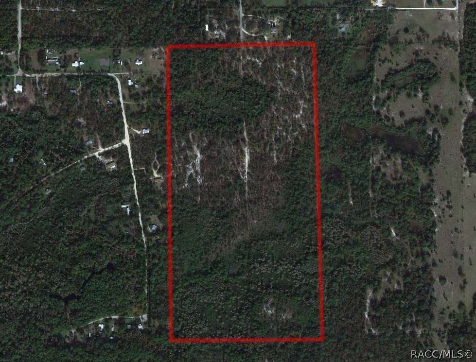 119.58 Acres of Recreational Land for Sale in Crystal River, Florida