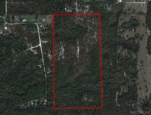 119.58 Acres of Recreational Land for Sale in Crystal River, Florida