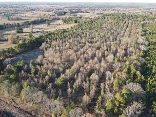 35.73 Acres of Recreational Land for Sale in Bagwell, Texas