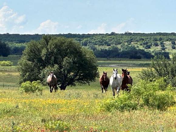 452.58 Acres of Recreational Land & Farm for Sale in Blanket, Texas