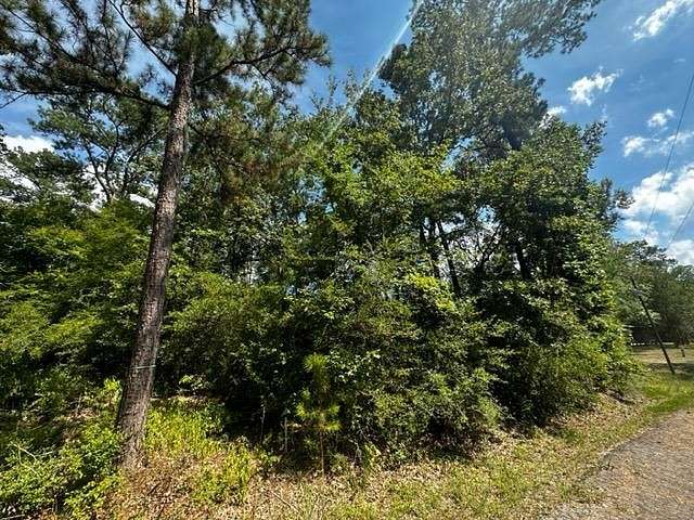 0.3 Acres of Residential Land for Sale in Broaddus, Texas