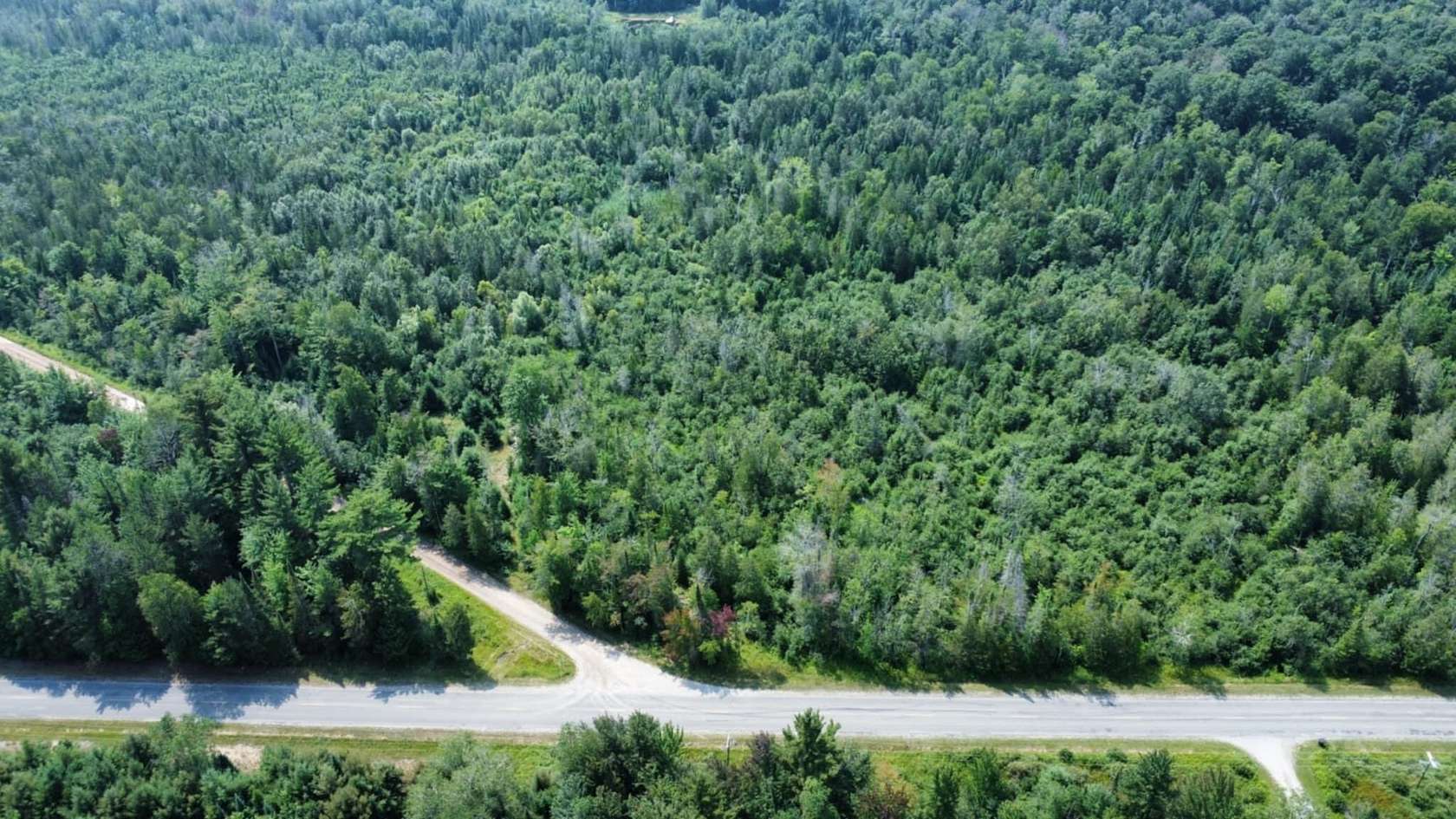 60 Acres of Recreational Land for Sale in Harrisville, Michigan