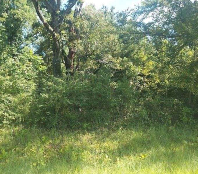 1 Acre of Land for Sale in Scottsville, Texas