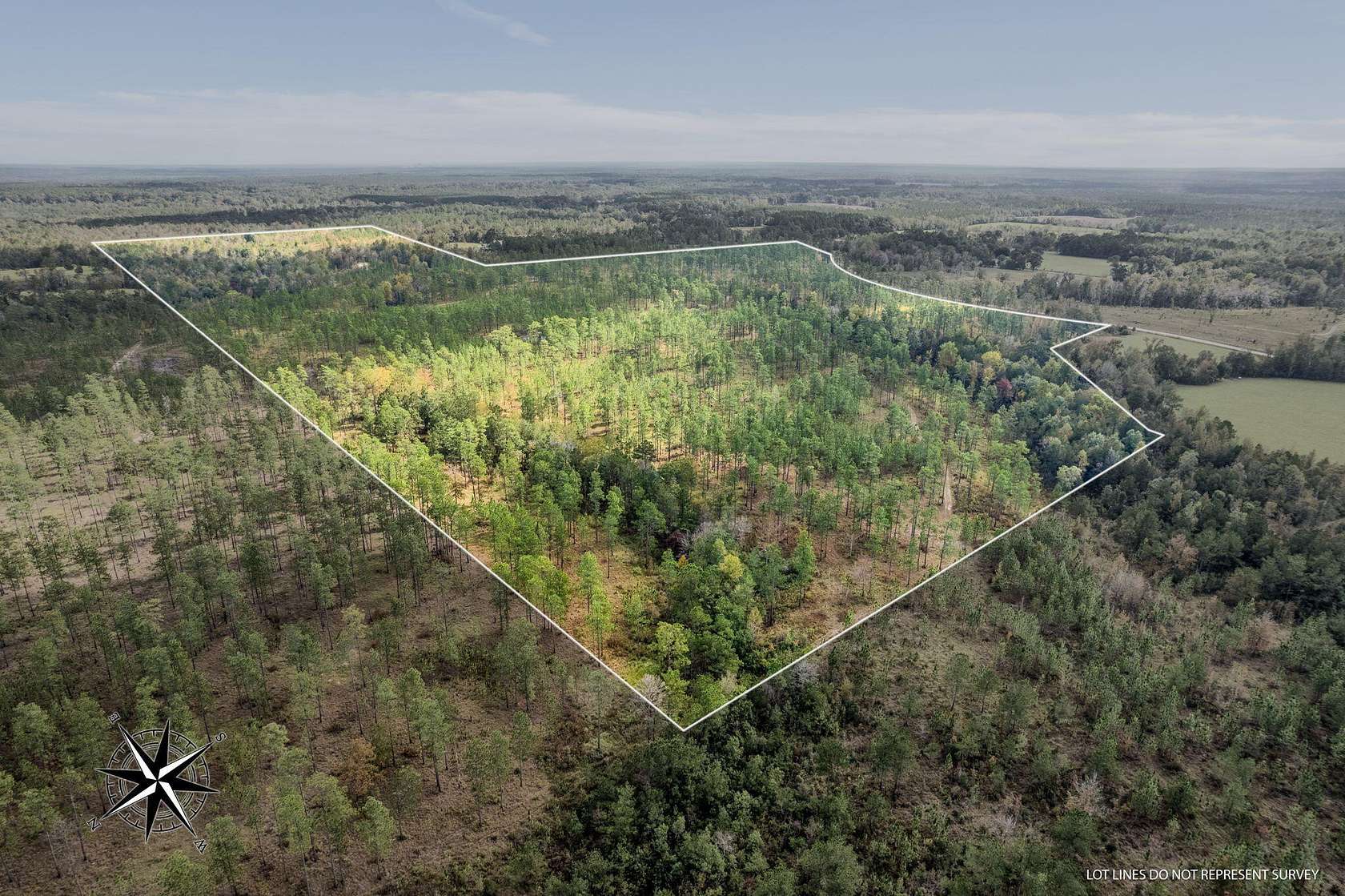 35 Acres of Agricultural Land for Sale in Petal, Mississippi