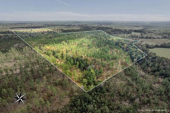 35 Acres of Agricultural Land for Sale in Petal, Mississippi