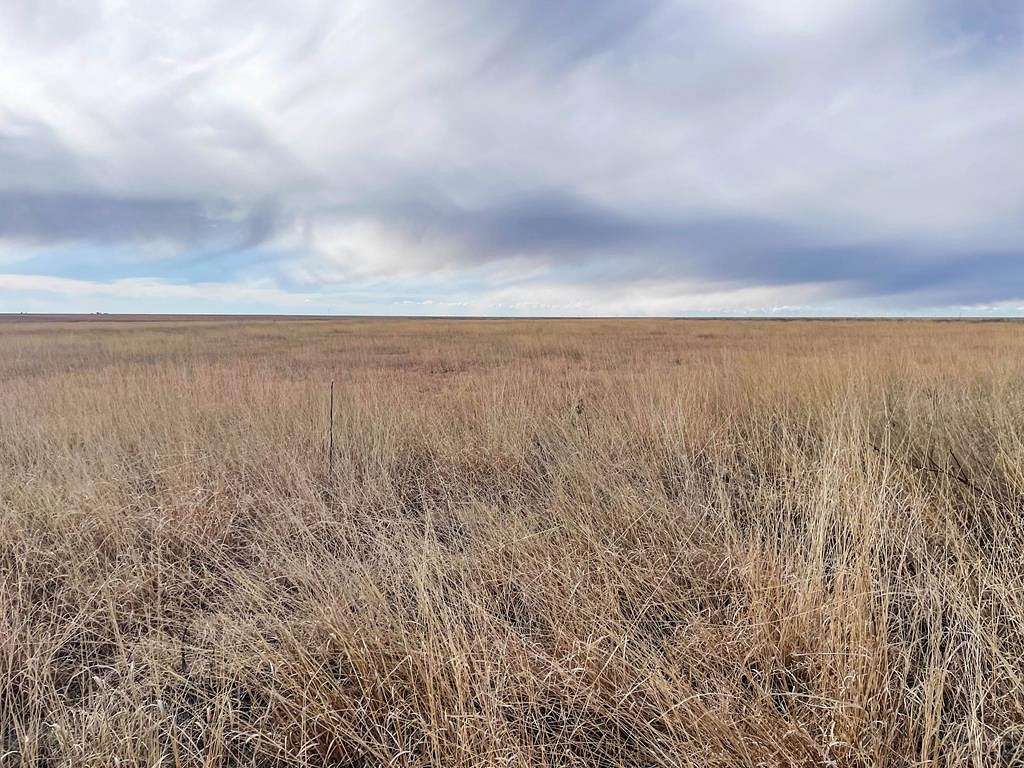 600 Acres of Recreational Land & Farm for Sale in Two Buttes, Colorado