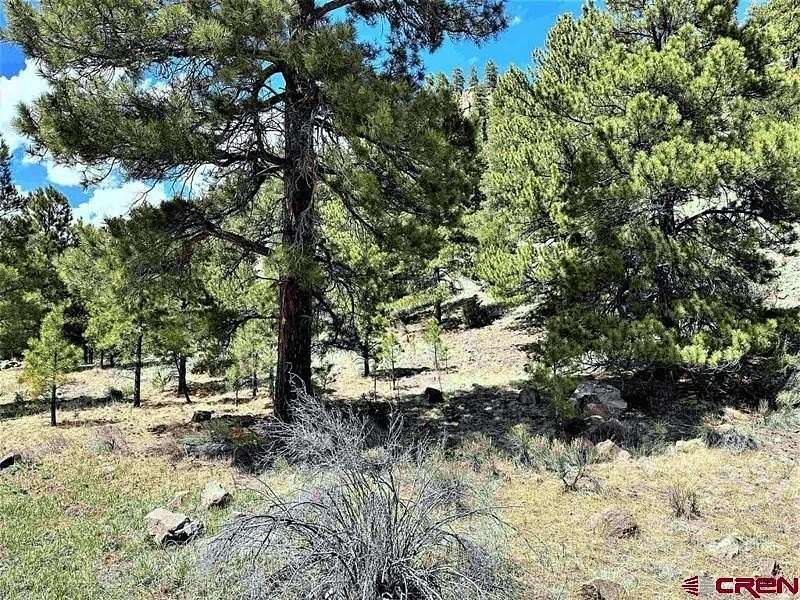 19.2 Acres of Recreational Land for Sale in South Fork, Colorado